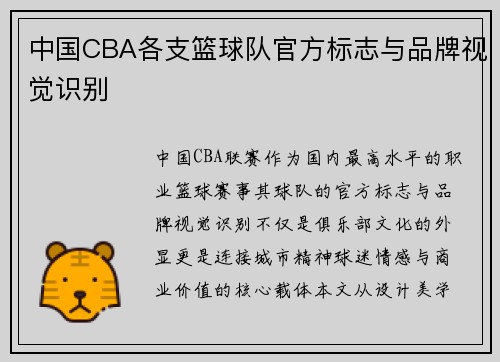 中国CBA各支篮球队官方标志与品牌视觉识别